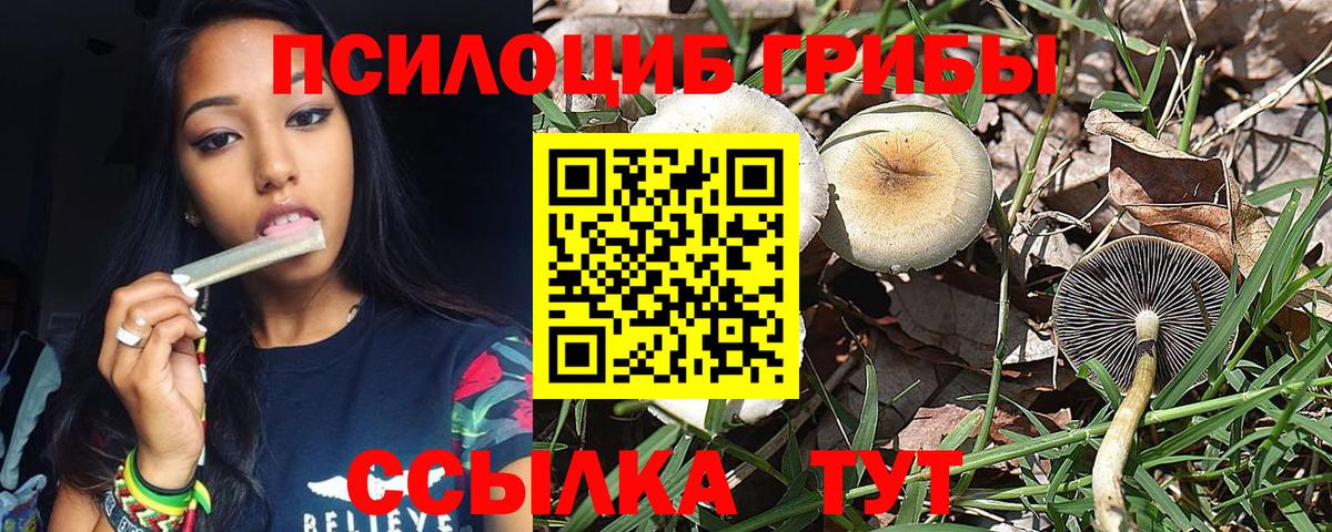 Галлюциногенные грибы мухоморы Россошь