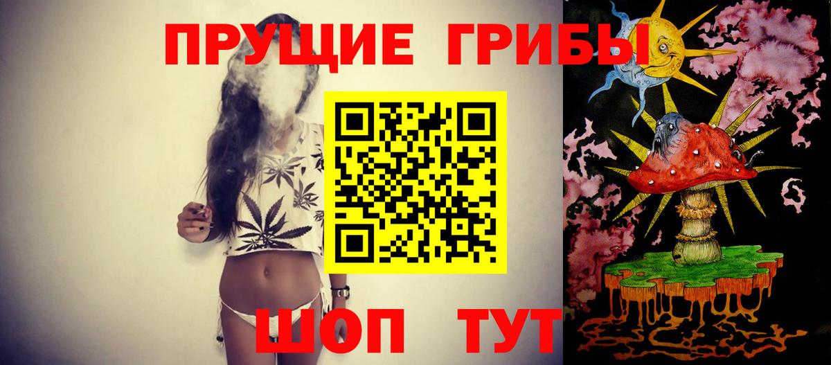 Россошь  где продают наркотики  Вход с VPN  Псилоцибиновые грибы Psilocybe 